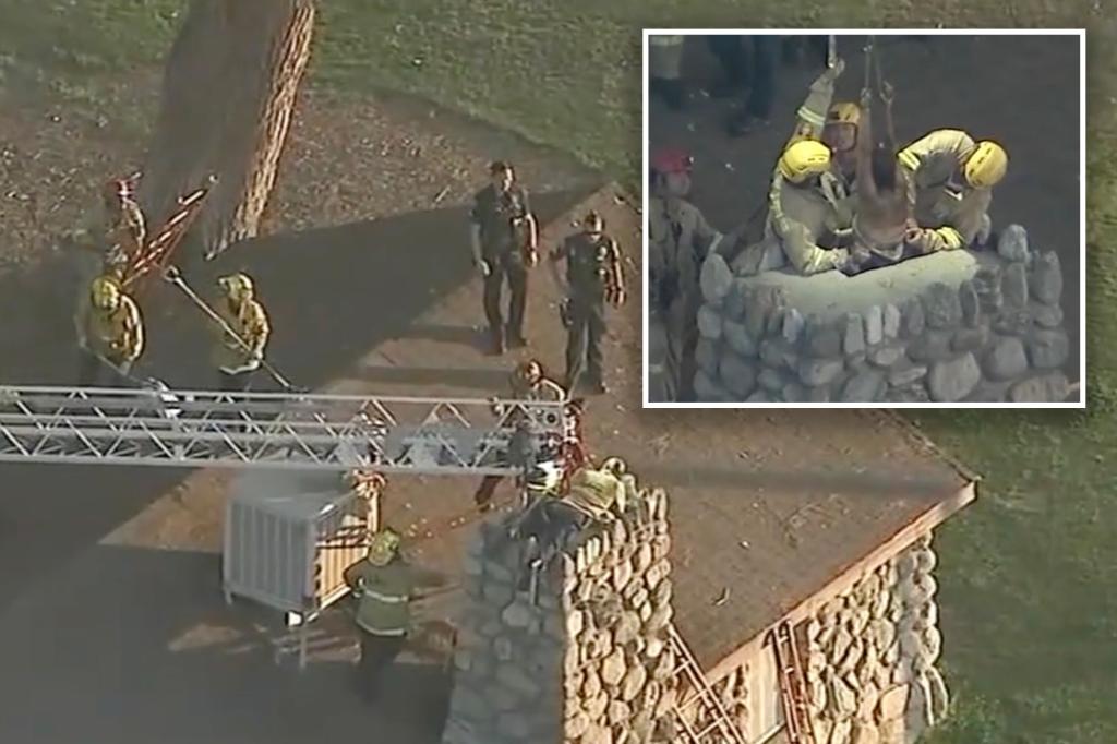 Woman with tequila gets trapped in California chimney after dancing and lowering her pants on the roof