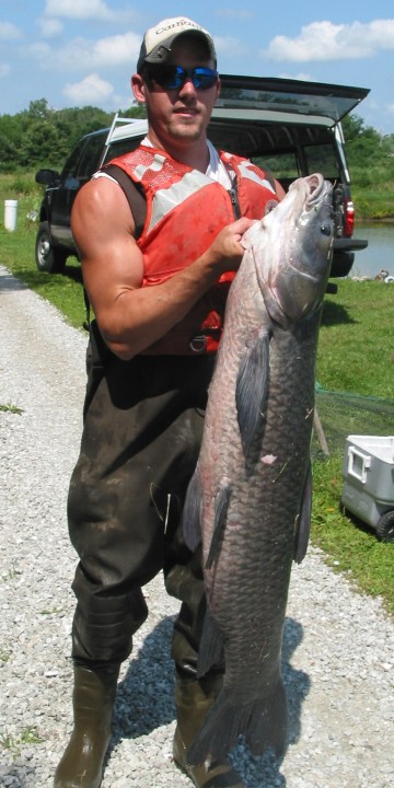 You might earn money by catching these types of fish.