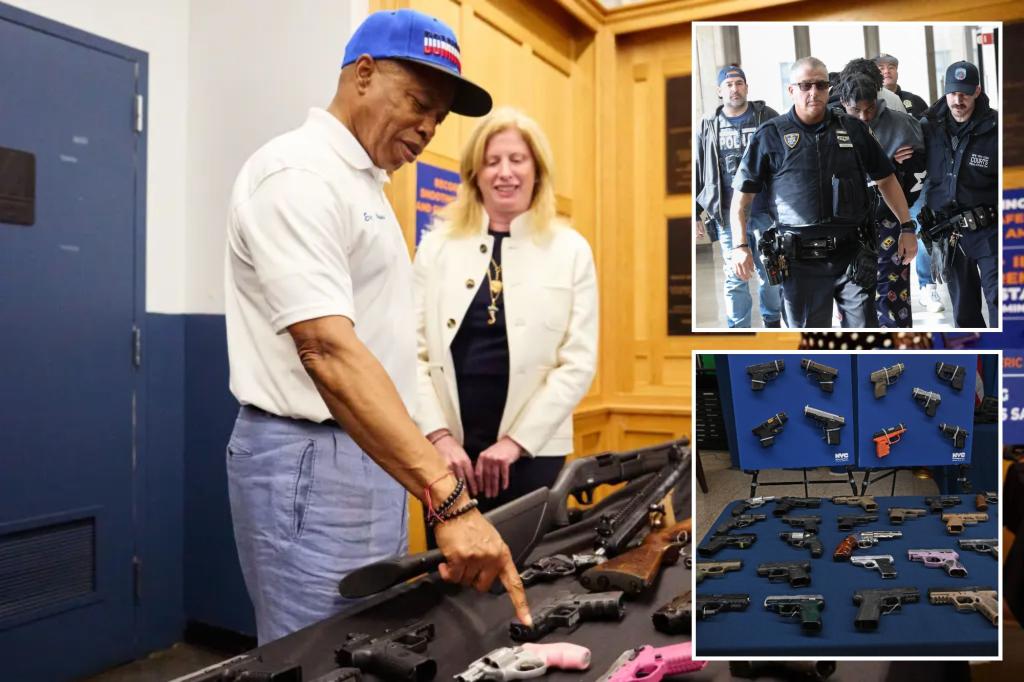 removing gangs, confiscating firearms, and targeted law enforcement