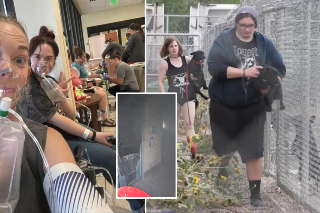 14 animal shelter employees in Montana taken to the hospital after a meth burn mishap by the FBI