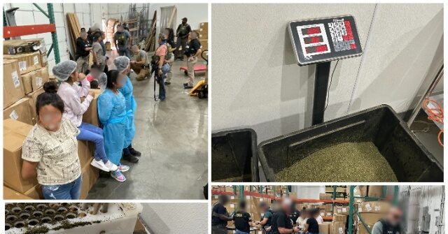 18 Undocumented Individuals Taken into Custody in Texas Marijuana Facility