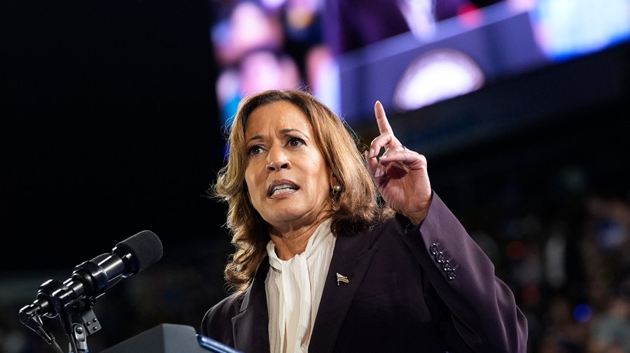 5 insights from Kamala Harris's media appearances