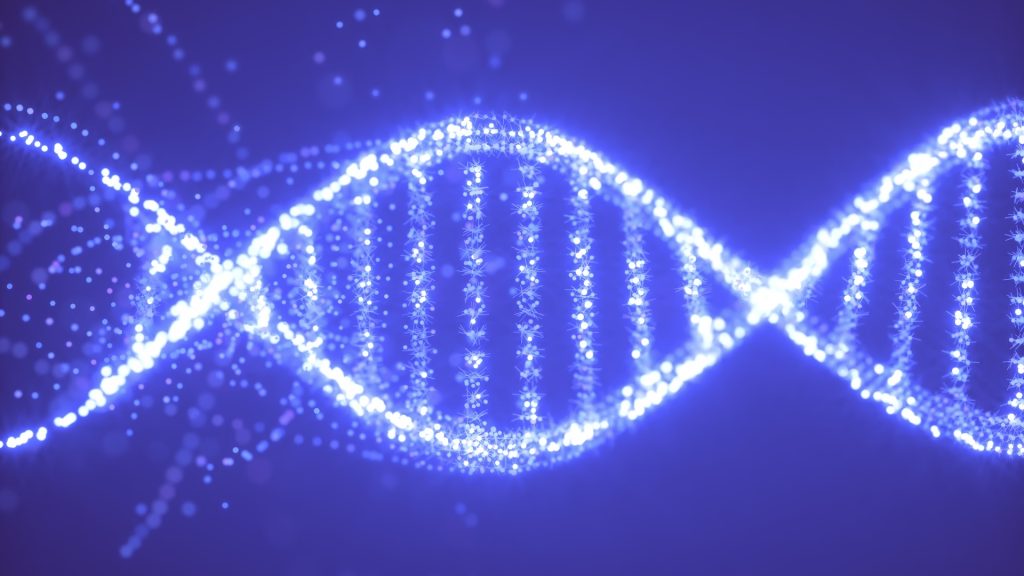 A gene lost by human ancestors millions of years ago may assist in treating gout.