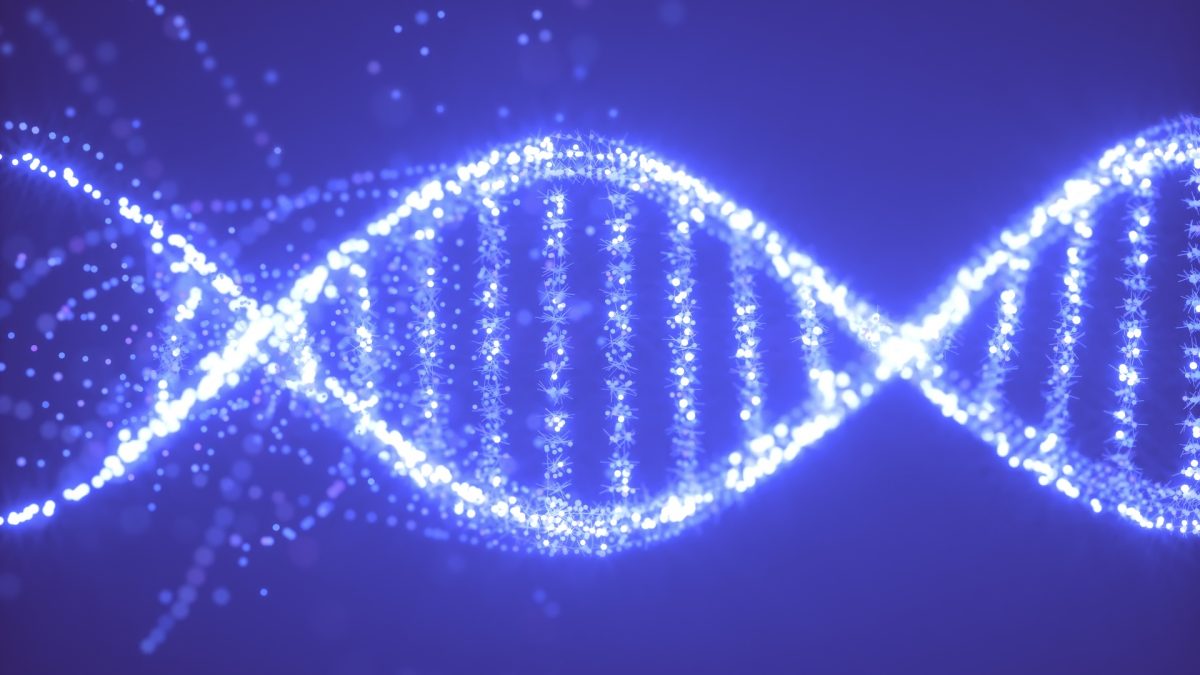 A gene lost by human ancestors millions of years ago may assist in treating gout.