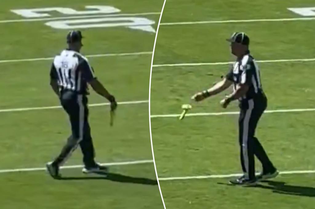 Adult toy tossed onto field during Browns-Bengals season kickoff