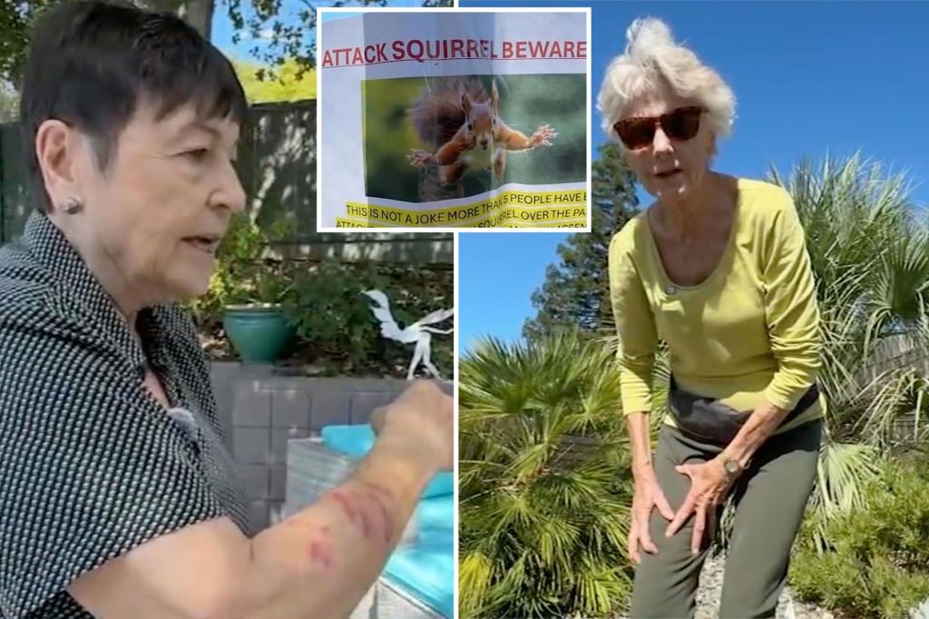 Aggressive squirrel instills fear in California neighborhood, leading to two hospital visits: 'She nearly killed me'