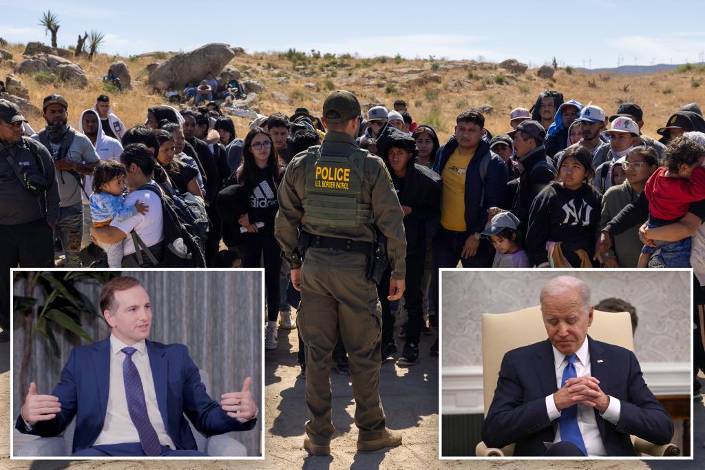 Airbnb leader left Democratic Party due to border issues — couldn’t support a party that 'allows criminals and dangerous individuals' in