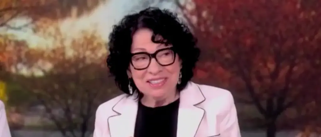 Alyssa Farah Griffin from &lsquo;The View&rsquo; inquires if Trump could run for a third term, speaking with Sonia Sotomayor.