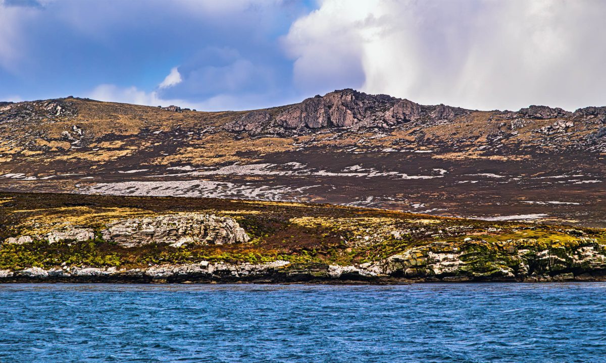 Ancient rainforest found by chance on an island without trees