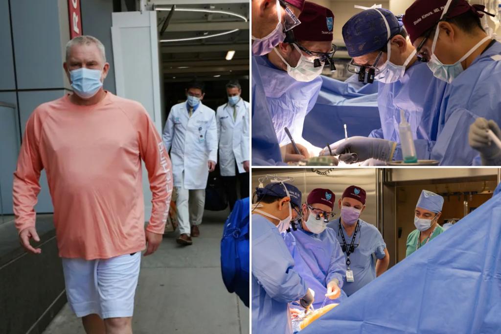 Another man from New Hampshire receives a pig kidney as transplant trials are about to begin