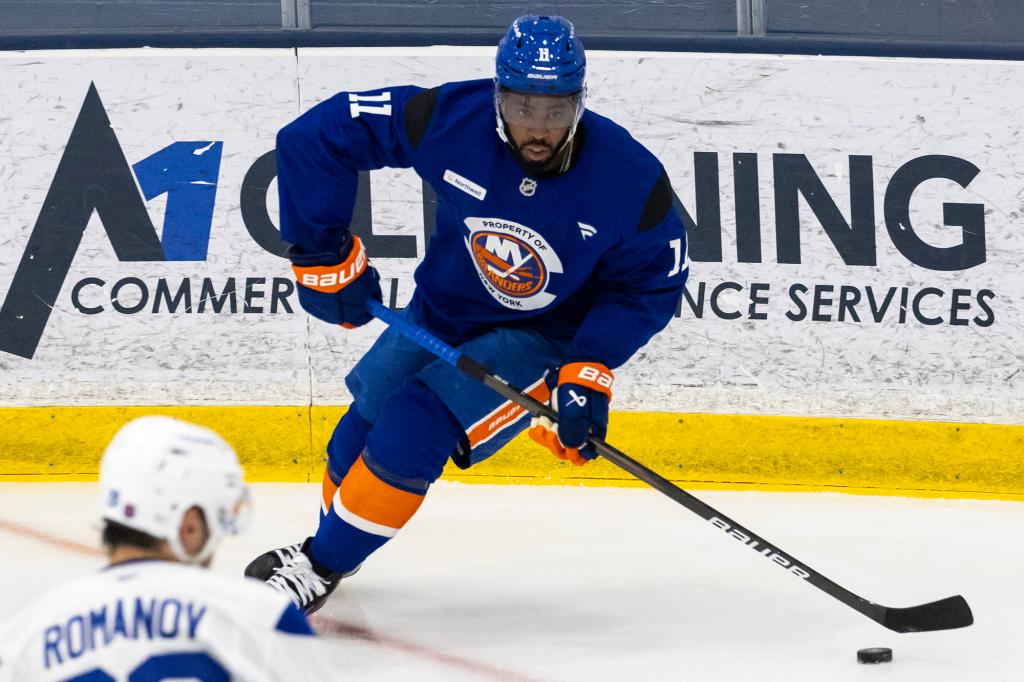 Anthony Duclair removed from Islanders roster due to upper-body injury