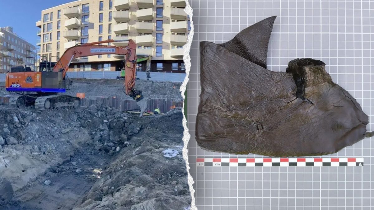 Archaeologists discovered thousands of leather items from the medieval period in Oslo, Norway.