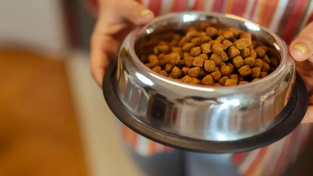 Aunt mistakenly consumes dog food while visiting family and holds niece responsible for the mix-up.
