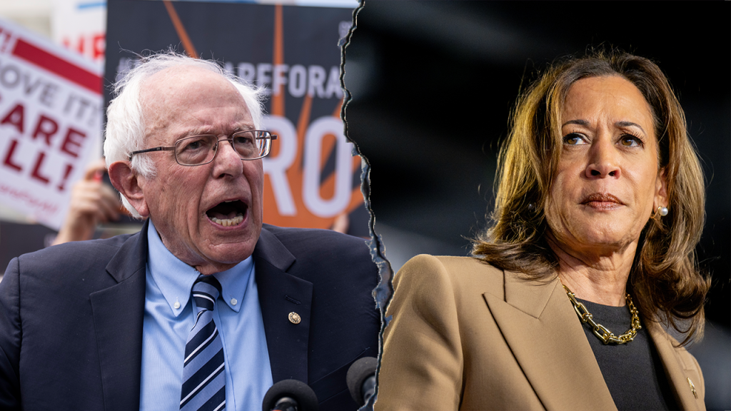 Bernie Sanders urged Harris to focus on the working class in her 2024 campaign.