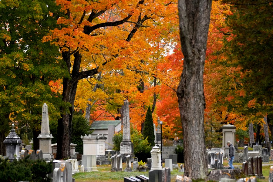Best and dullest spots for fall foliage in 2025