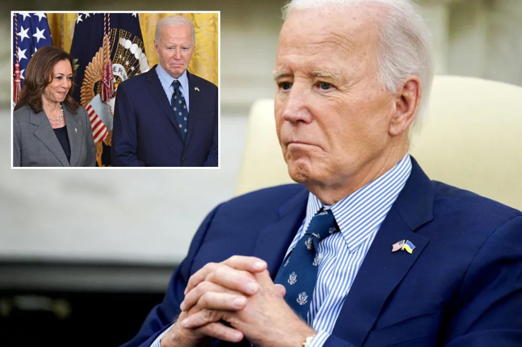 Biden's presidential library struggling to raise funds from hesitant Democratic supporters
