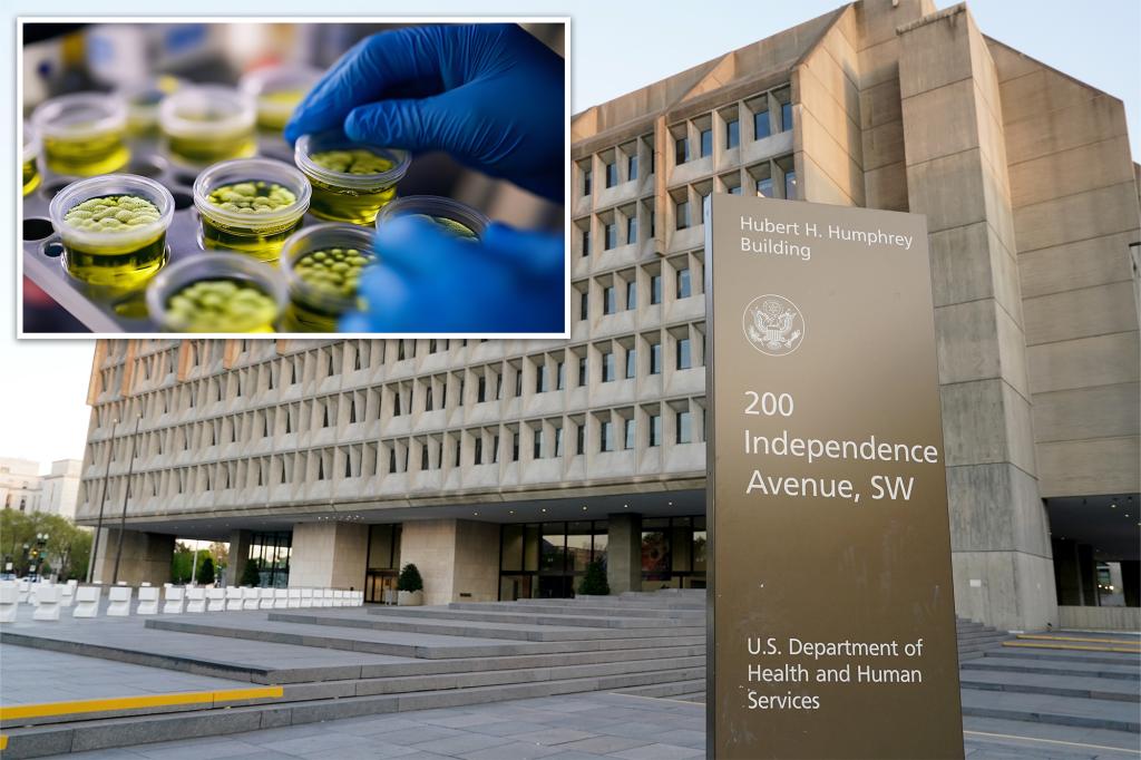 Cases of drug-resistant bacteria are increasing in the U.S.