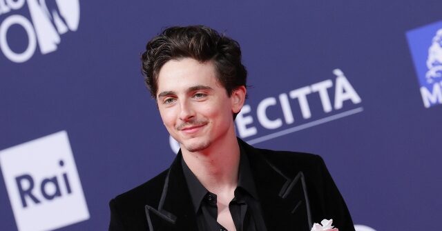 Celebrity AI Chatbots Like Timothee Chalamet Engaged in Sexual Talks with Teens