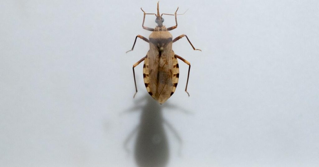 Chagas disease: The serious illness you might not know about has arrived.