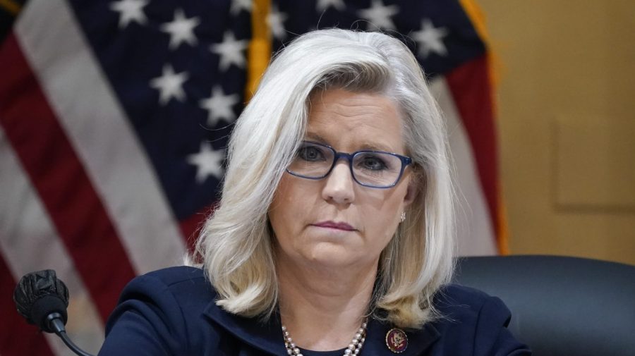 Cheney slams FCC chief after Kimmel suspension: 'You took an oath to the Constitution'