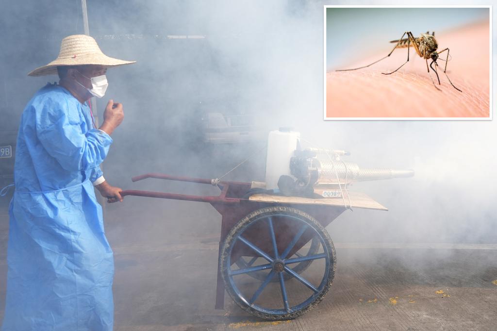 Chikungunya virus carried by mosquitoes that caused alarm in China may have been found in New York.