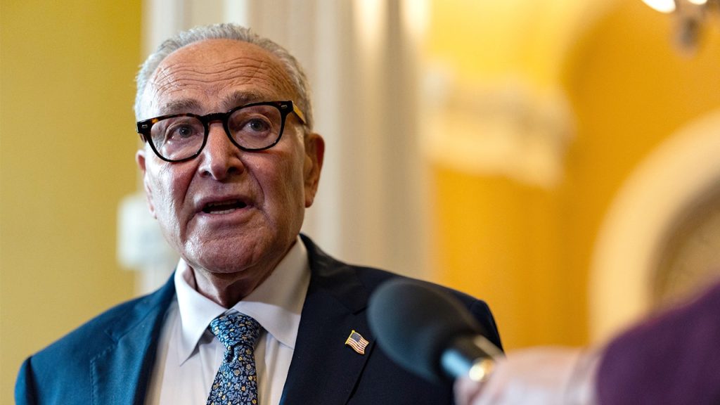Chuck Schumer avoids questions about Mamdani's mayoral support on CNN
