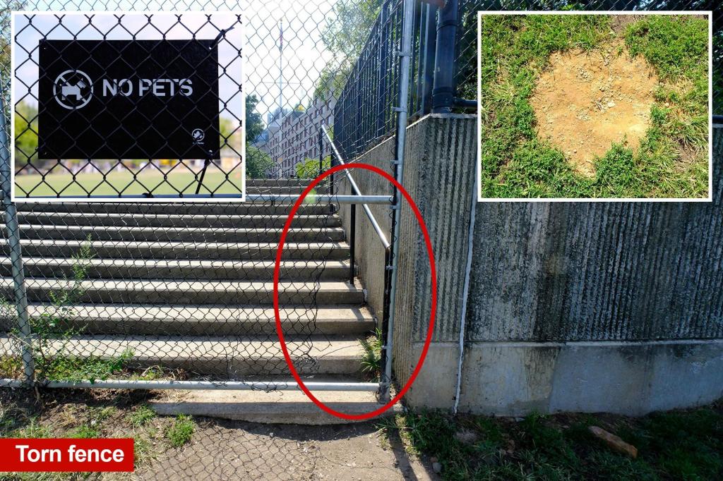 Coaches and parents challenge bold irresponsible dog owners at NYC park