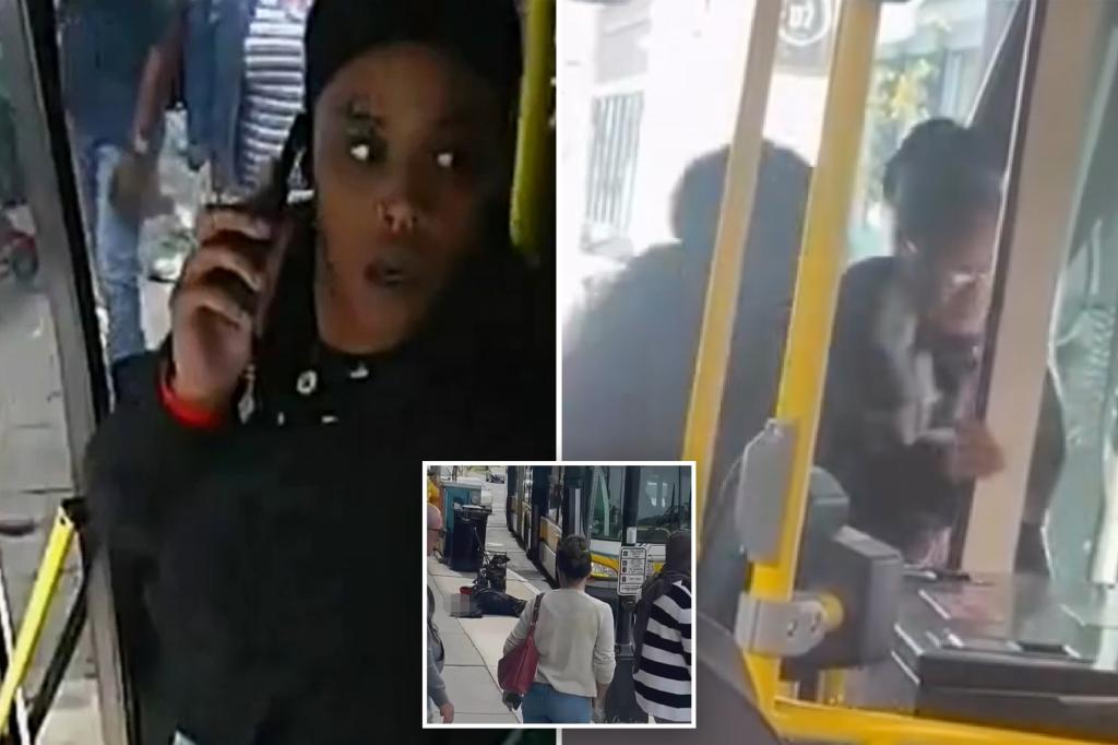 Commuter pushes an elderly woman off a bus in unsettling footage