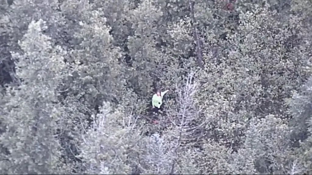 Contestant from YouTube survival show found after being lost for 18 hours in Michigan woods