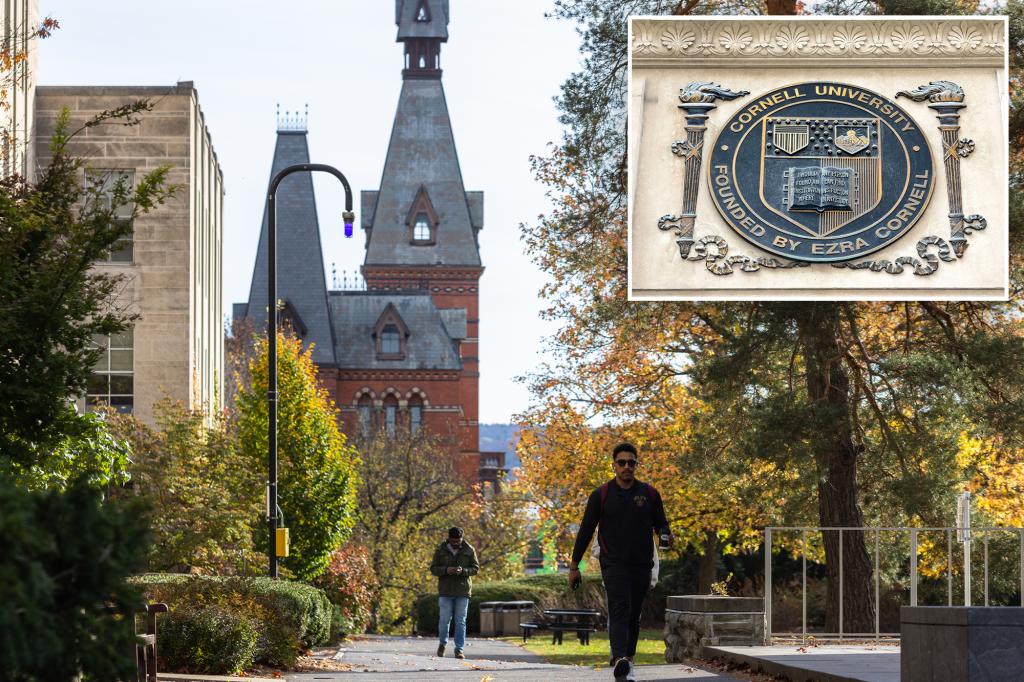 Cornell MBA council advises 'non-marginalized' students to stay away from minority recruiting events, according to a report