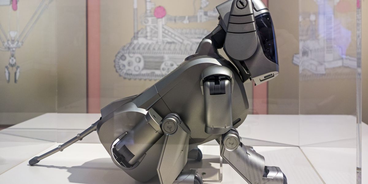 Could these innovative fake pets help humanity? Take a wild guess