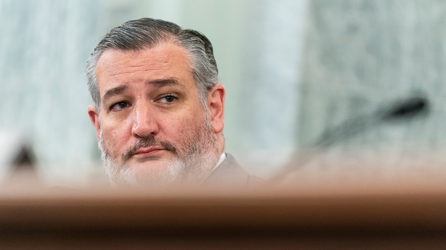 Cruz: 'You cannot face legal action for speaking'