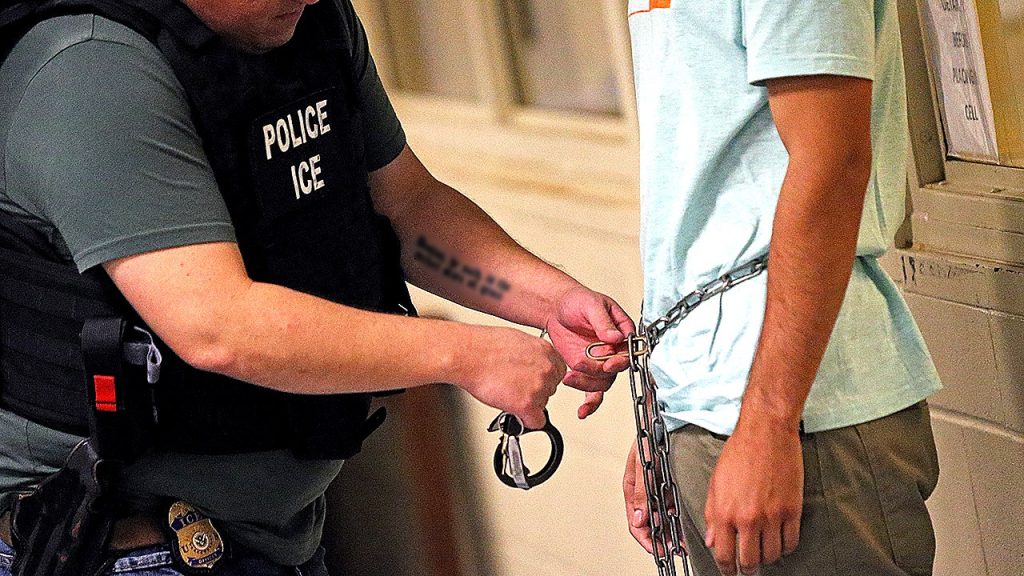 DHS officials reject claims that ICE agents used an autistic girl as bait for an arrest