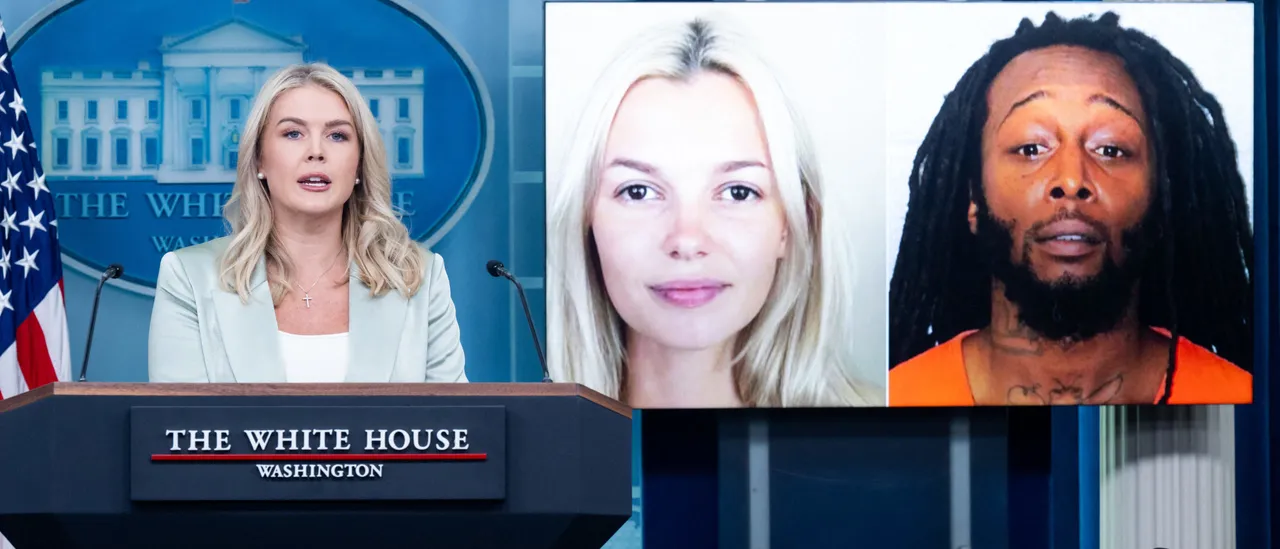 DOJ Promises Train Stabbing Suspect Will Not Be Free Again