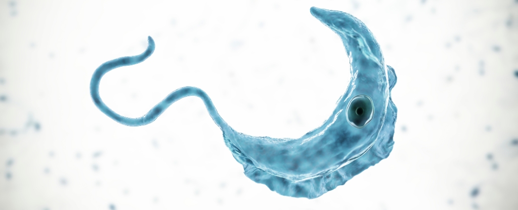 Dangerous Kissing Bug Disease Is Increasing in the US, CDC Alerts