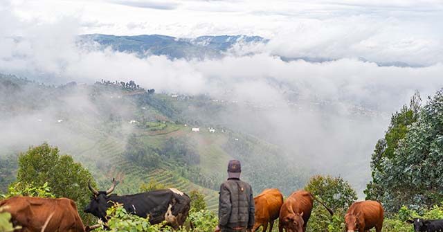 Delicate Peace in Congo Shaken by Allegations of War Crimes and Theft