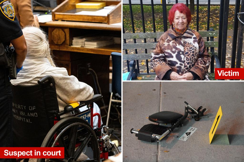 Dementia patient from NYC charged with killing Holocaust survivor appears in court