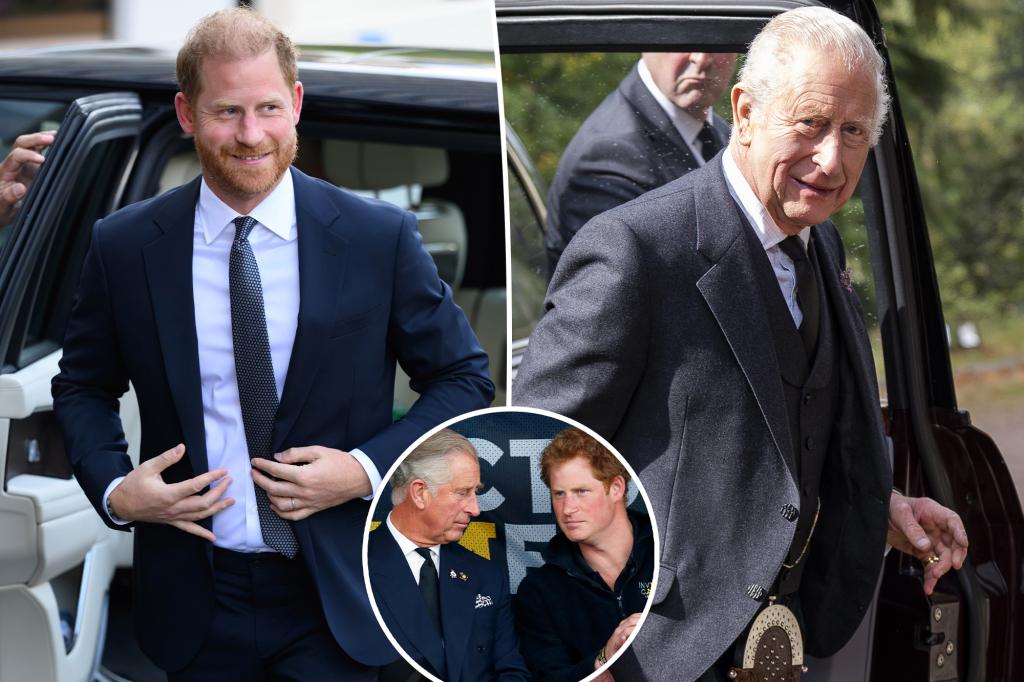 Details of Prince Harry's 53-minute conversation with King Charles