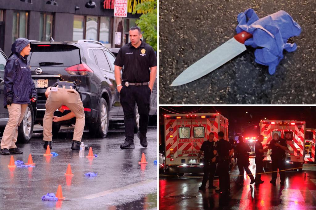 Disturbed individual identified after being shot by NYPD while attempting to break into precinct and attack officer.