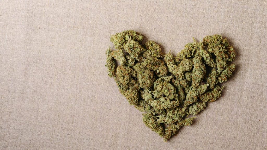 Doctors Accuse Cannabis for Fit Woman's Unexpected Cardiac Arrest
