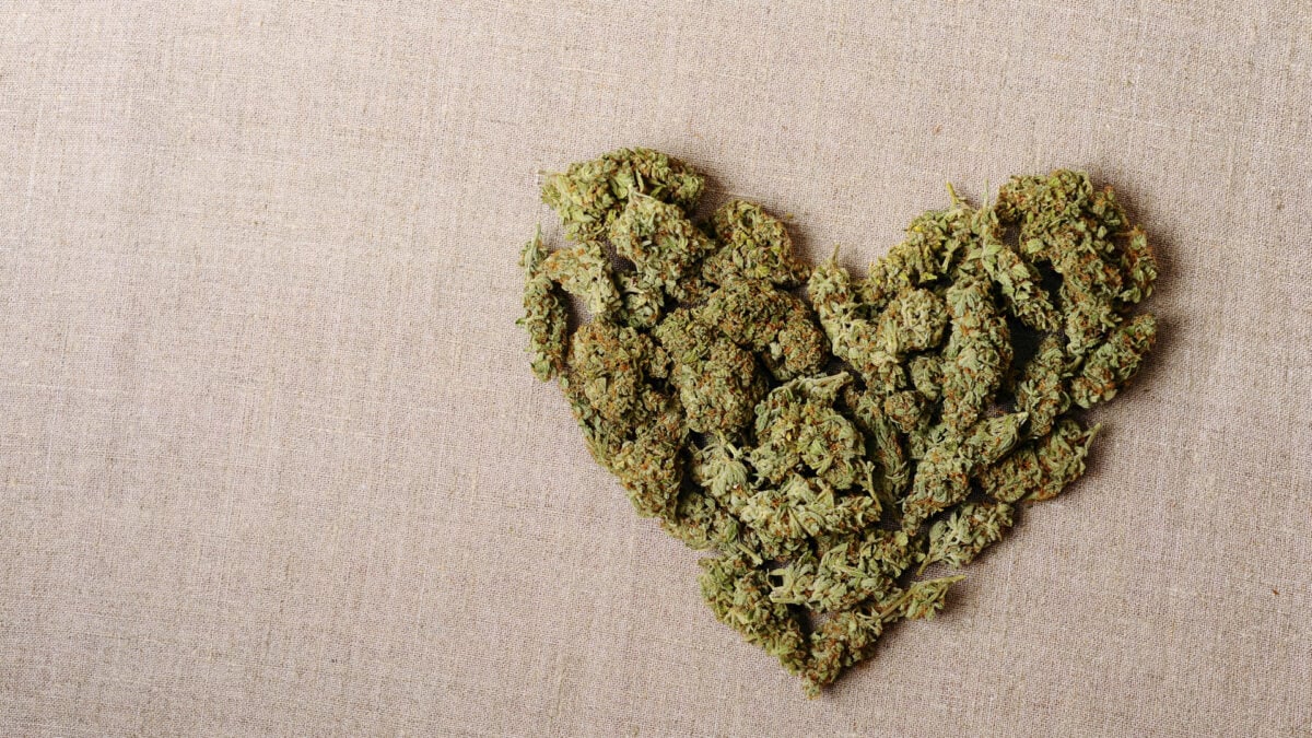 Doctors Accuse Cannabis for Fit Woman's Unexpected Cardiac Arrest
