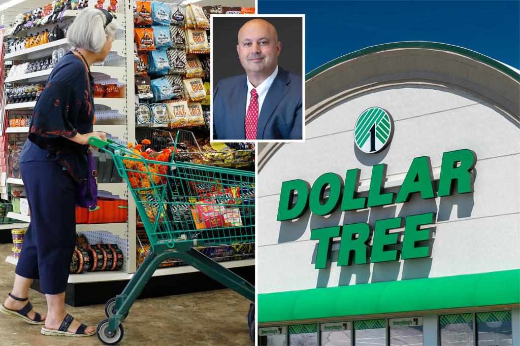 Dollar Tree stock falls as it cautions that tariffs will affect profits despite strong demand for its low-priced products.