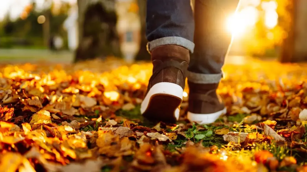 Essential items for autumn walks: jackets, gloves, reflective clothing, and portable treadmills