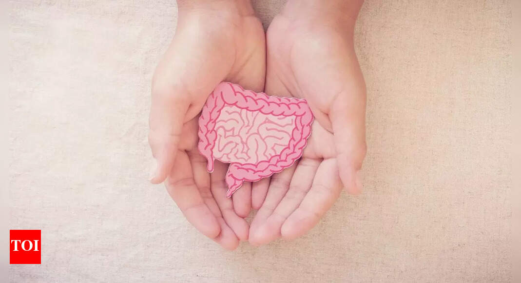 Expert suggests "healing begins in your kitchen": 8 herbs for better gut health