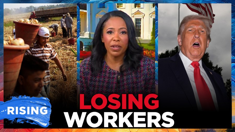 Farmers are desperate for workers amid Trump immigration crackdown 