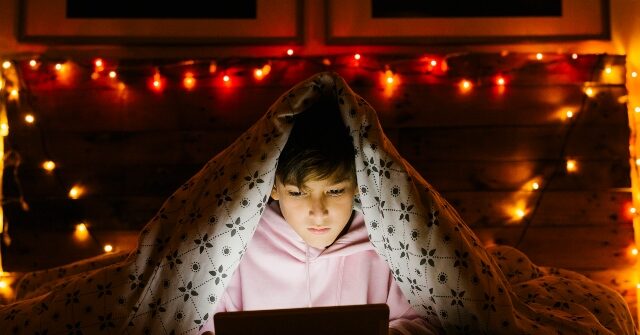 Florida Takes Legal Action Against Adult Gaming Platform and Payment Processor for Failing to Verify Age