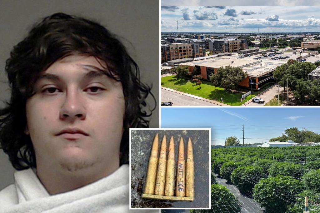 Former employer claims anti-ICE shooter was a laid-back stoner who moved to Washington to pick pot.