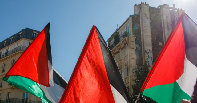 French Mayors Show Support for Palestine by Displaying Flags Outside Town Halls