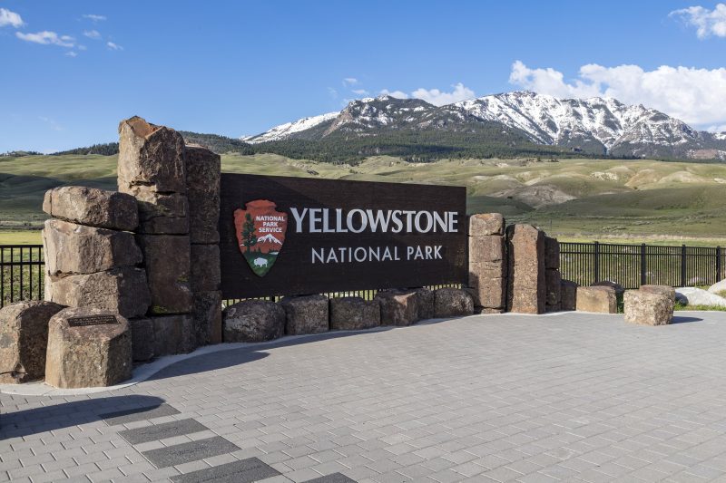 Hiker sustains serious injuries following bear encounter in Yellowstone