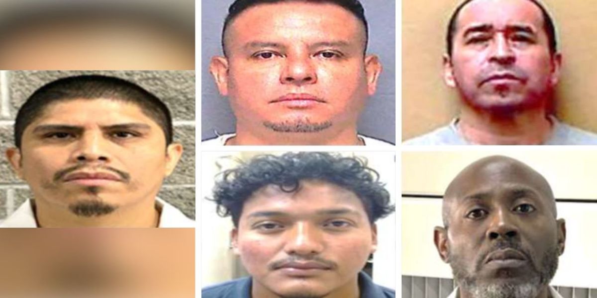 ICE detains top criminal illegal aliens as assaults on agents rise by 1,000%